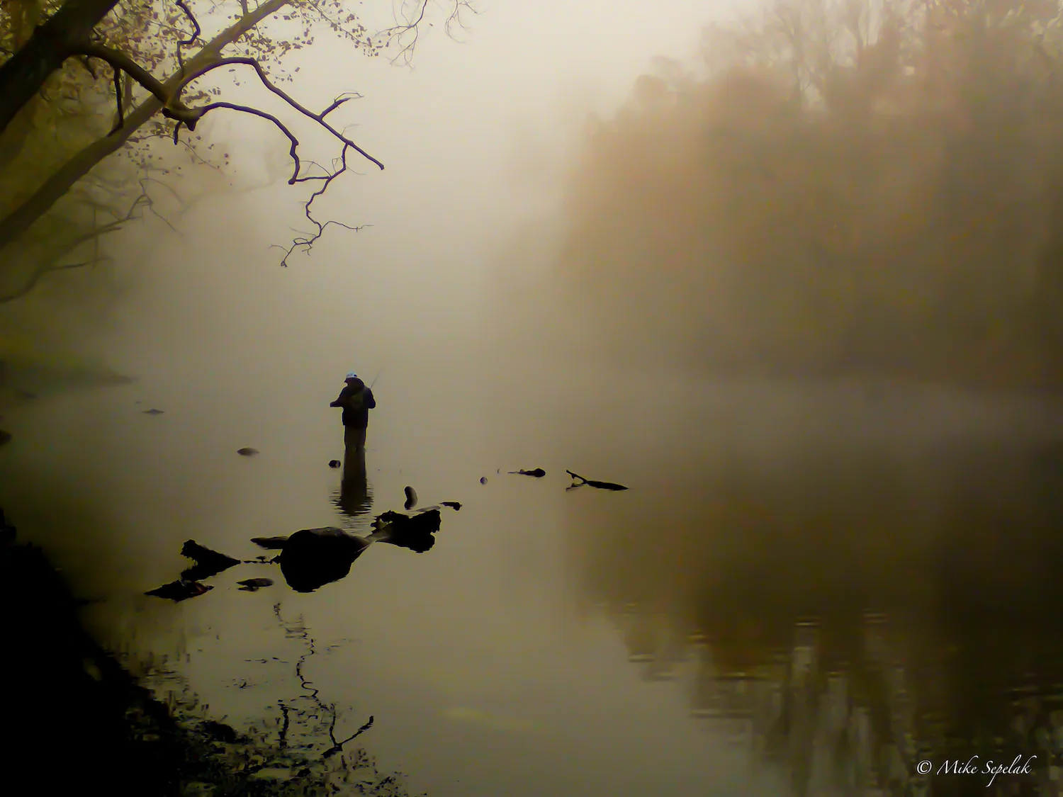 Trout School-11.jpg