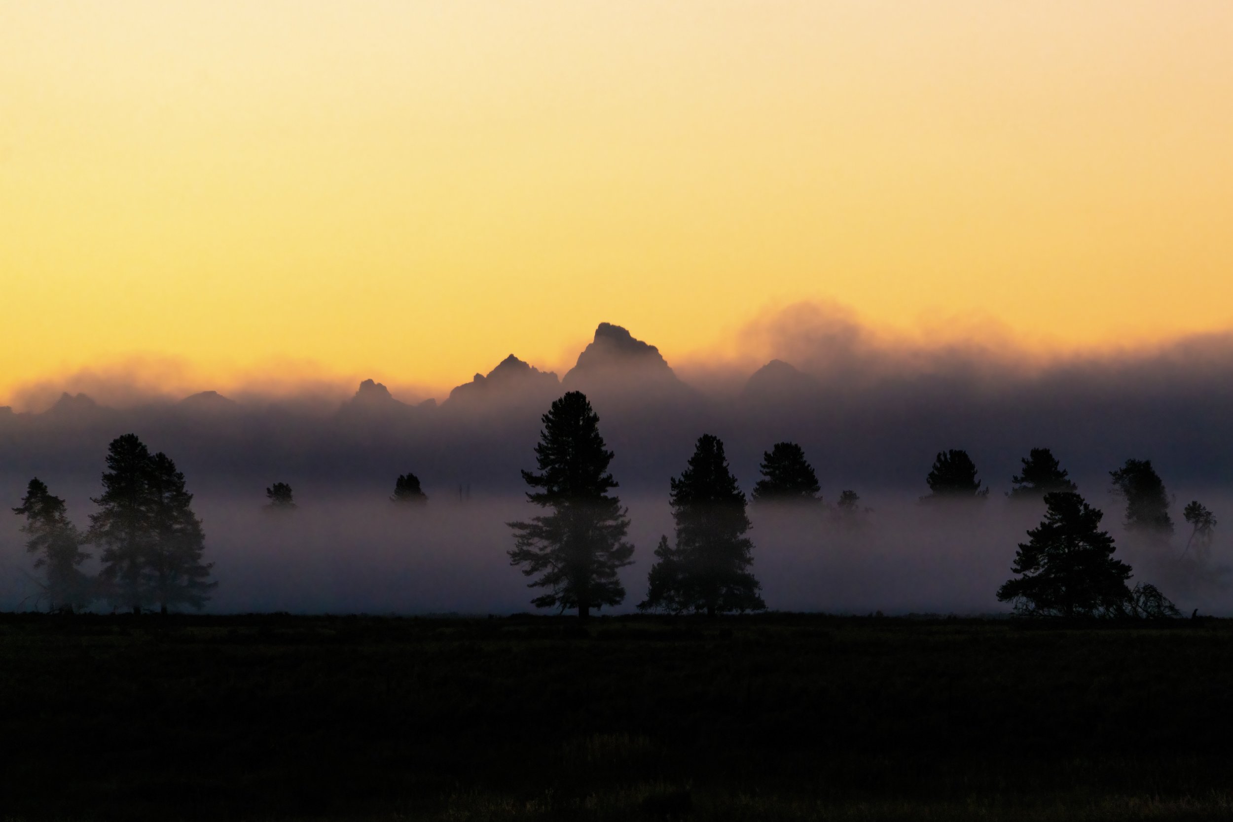 The Tetons above the mist.