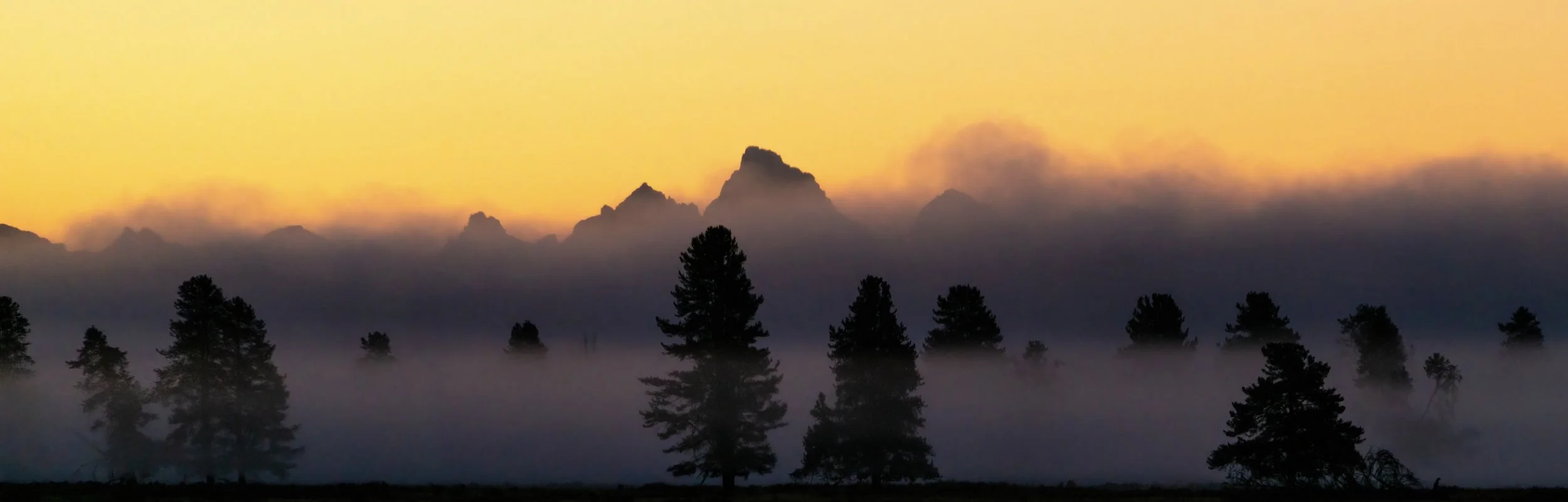 _DSC1341 - edit DN 3.jpeg