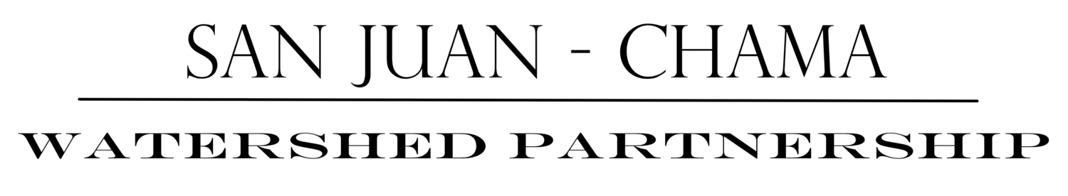 SJCWP text logo.png