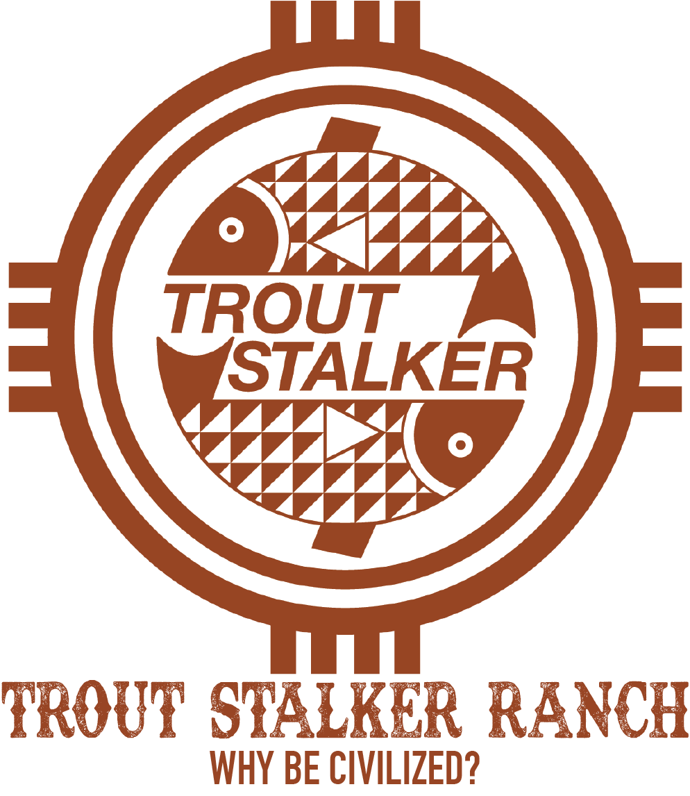 TSR logo with type.png