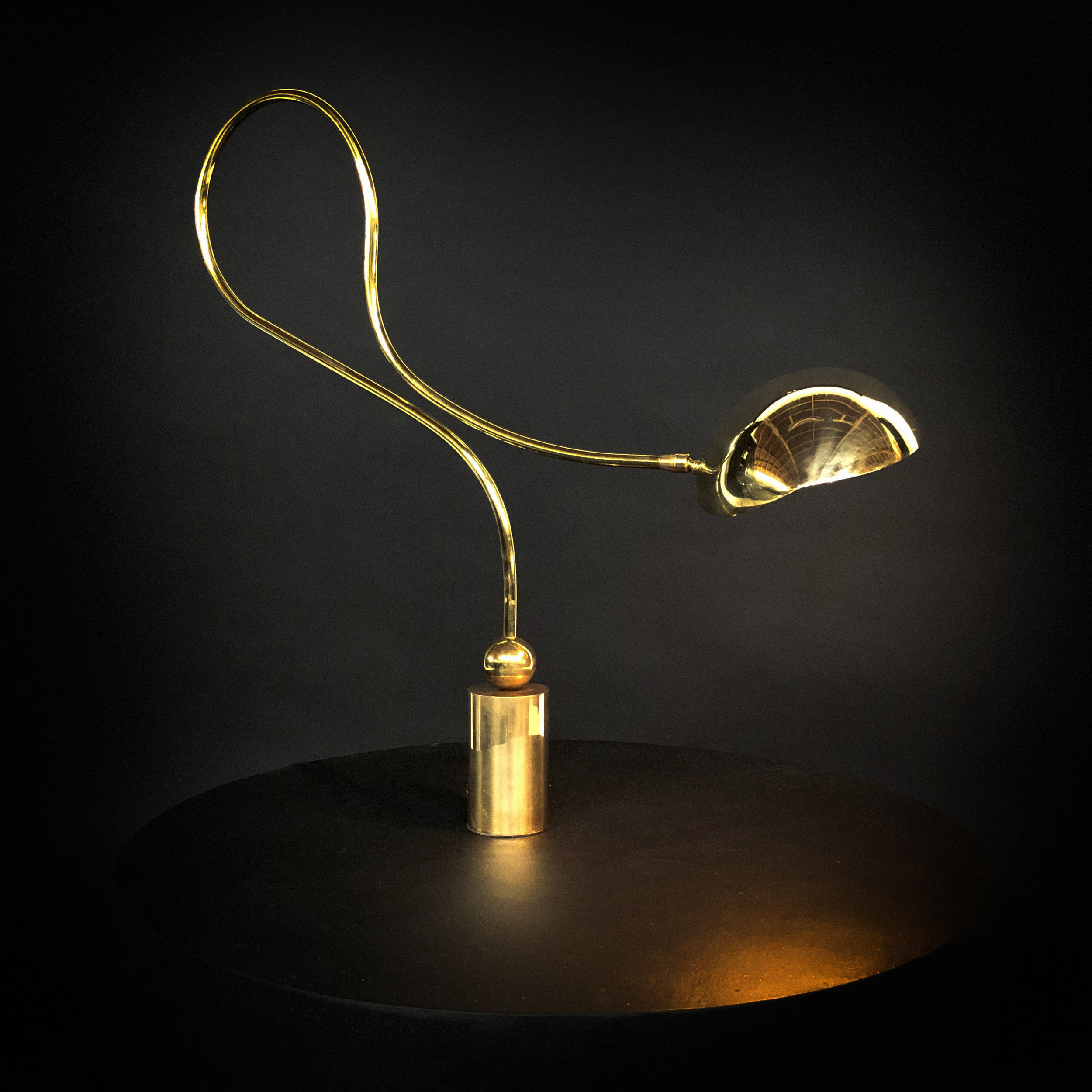 CURVED NECK TABLE LAMP