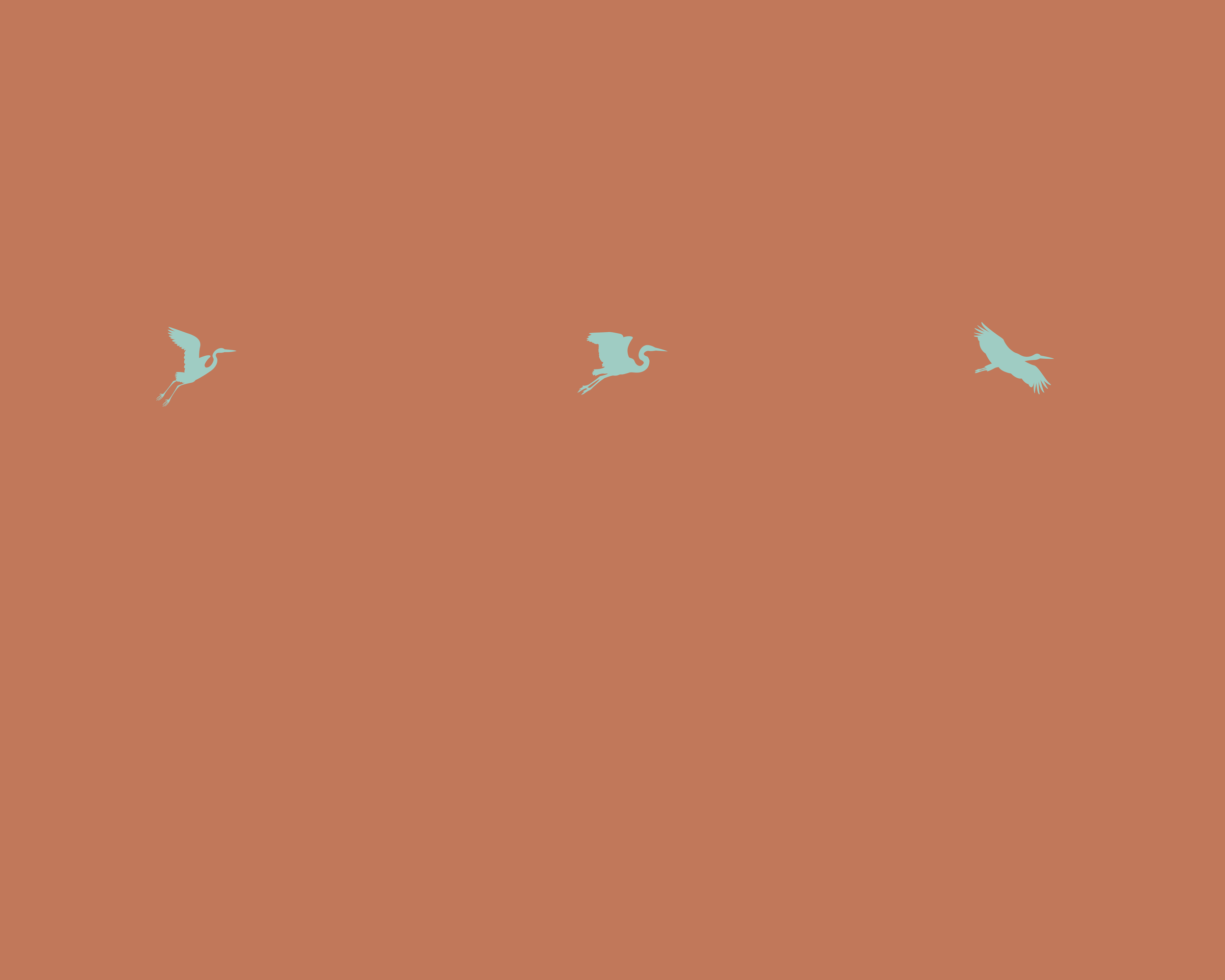 website banner 2026 (9).png