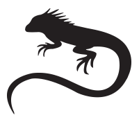 BI-Iguana.png