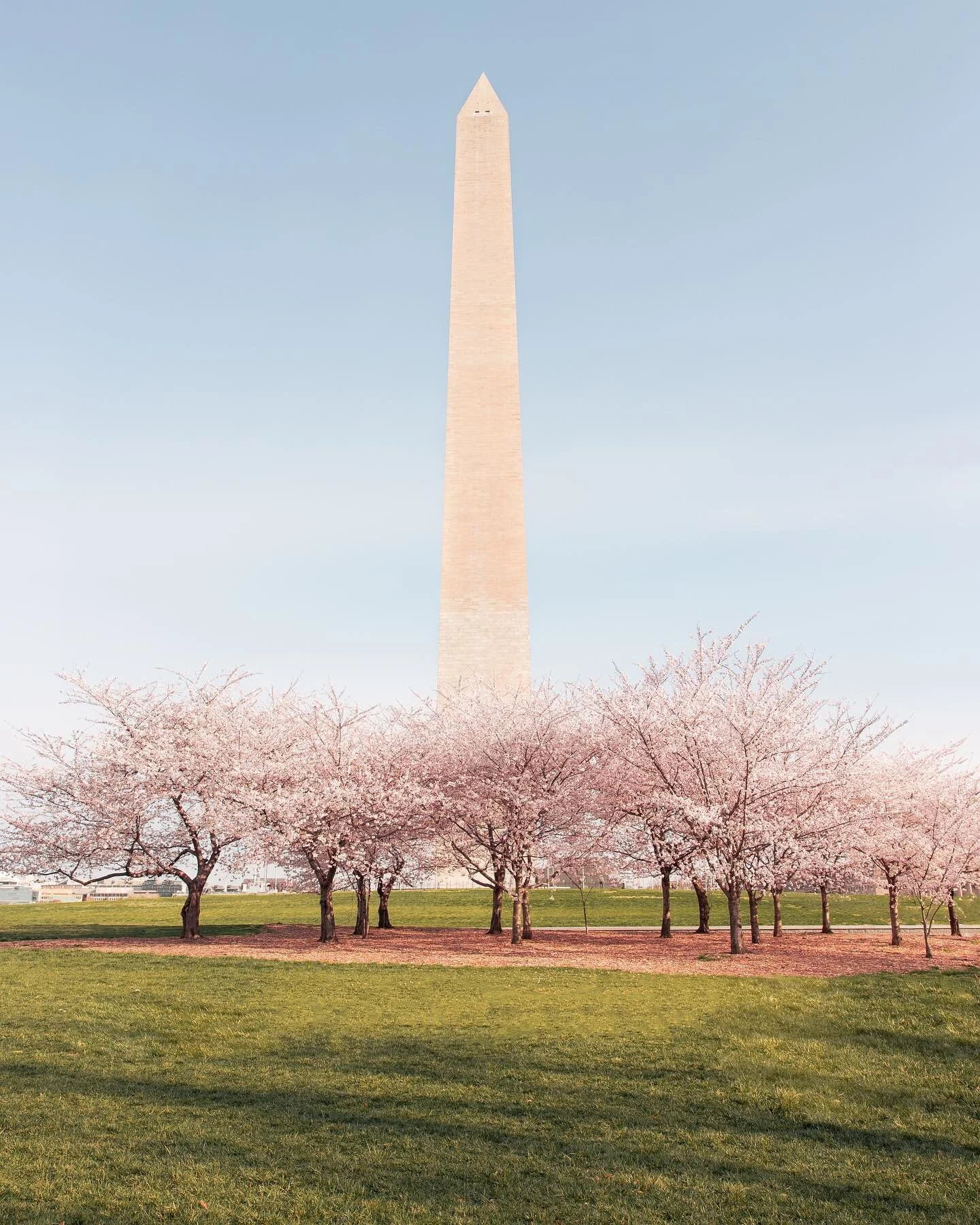 Peak season in the city.