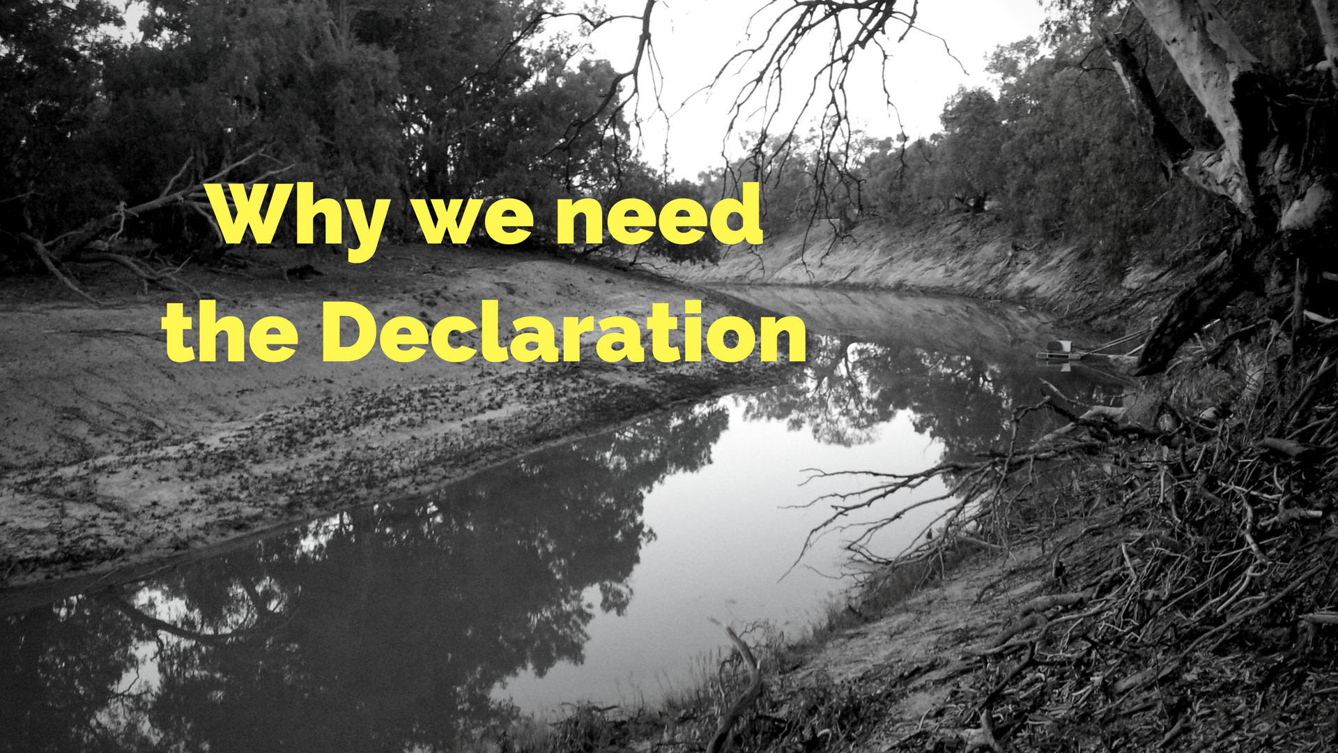 Why we have signed the Declaration (2).png