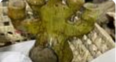 8B80DEC7-BE7A-4AE7-BB27-6B0BE811D425