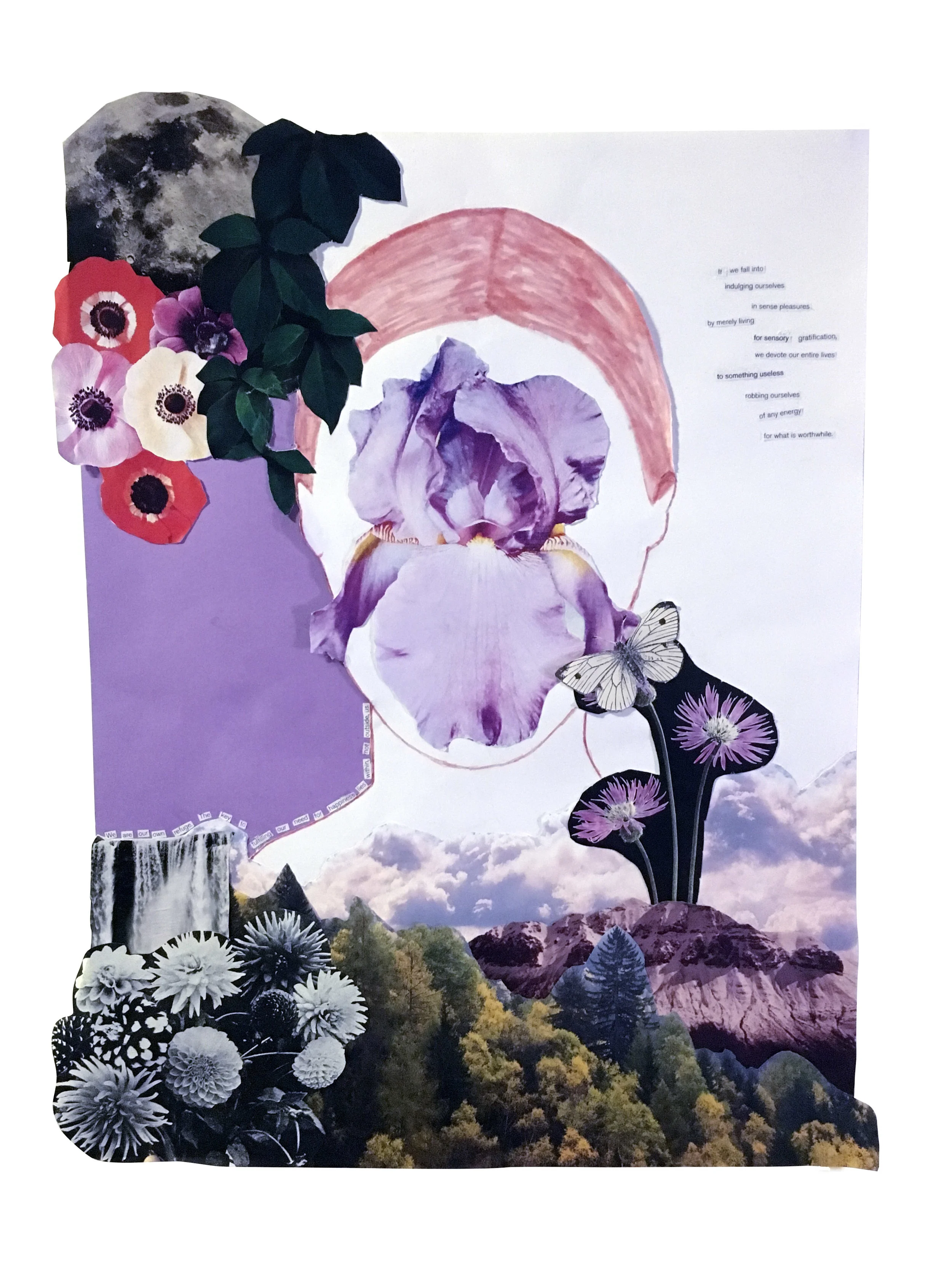 mindfulnesscollage.jpg