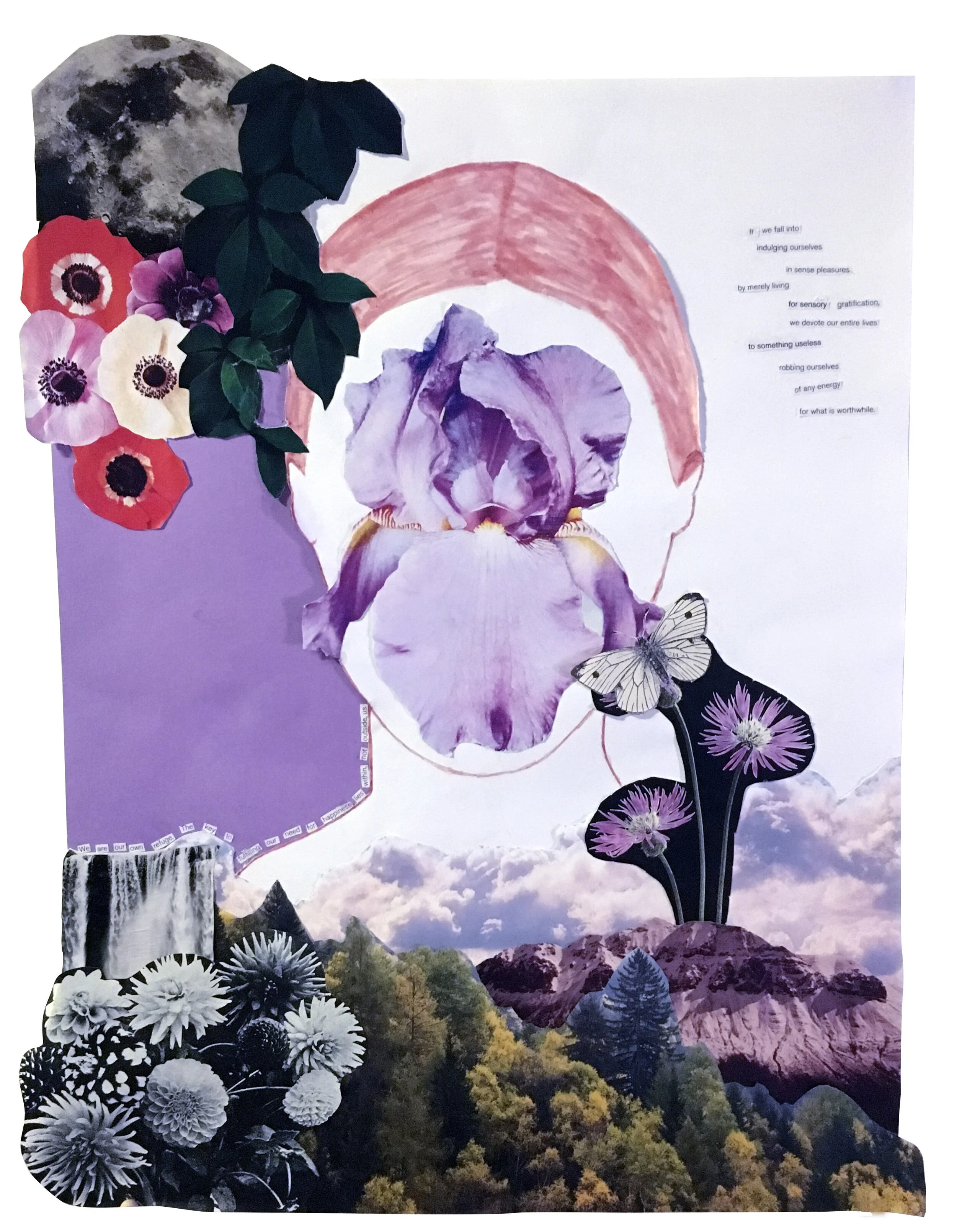 mindfulnesscollage.jpg