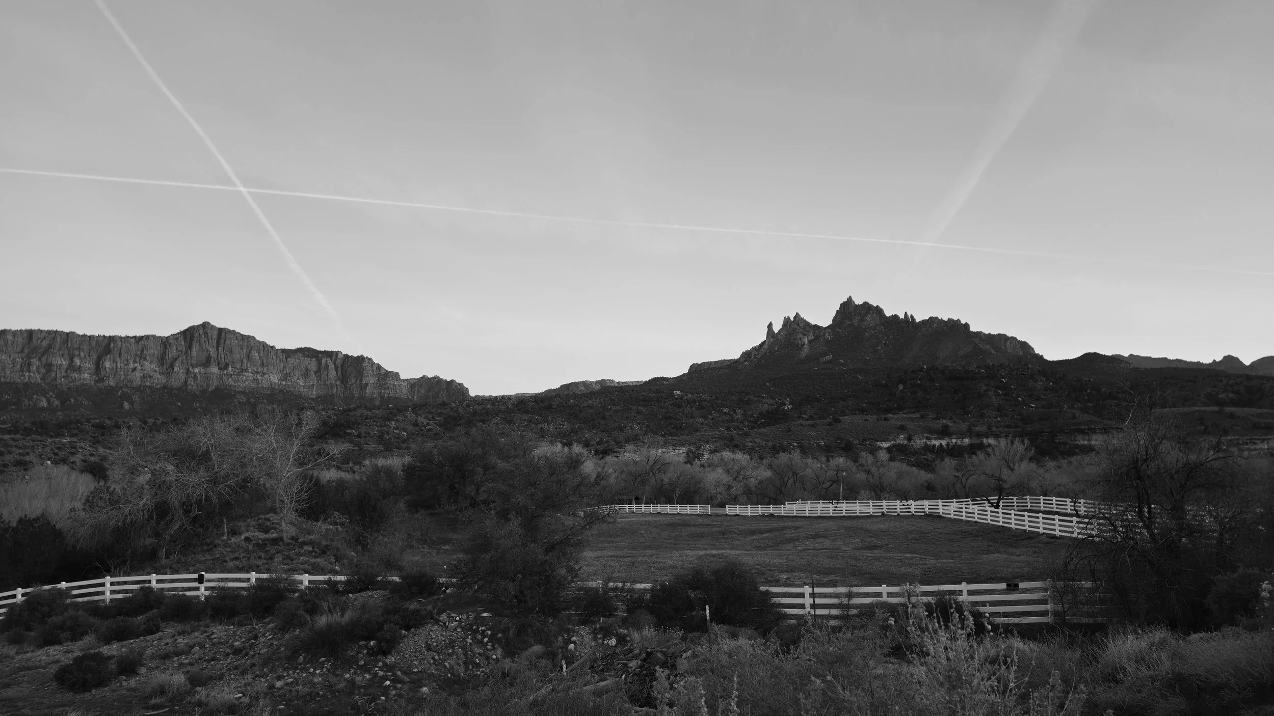 20260318_194544.jpg