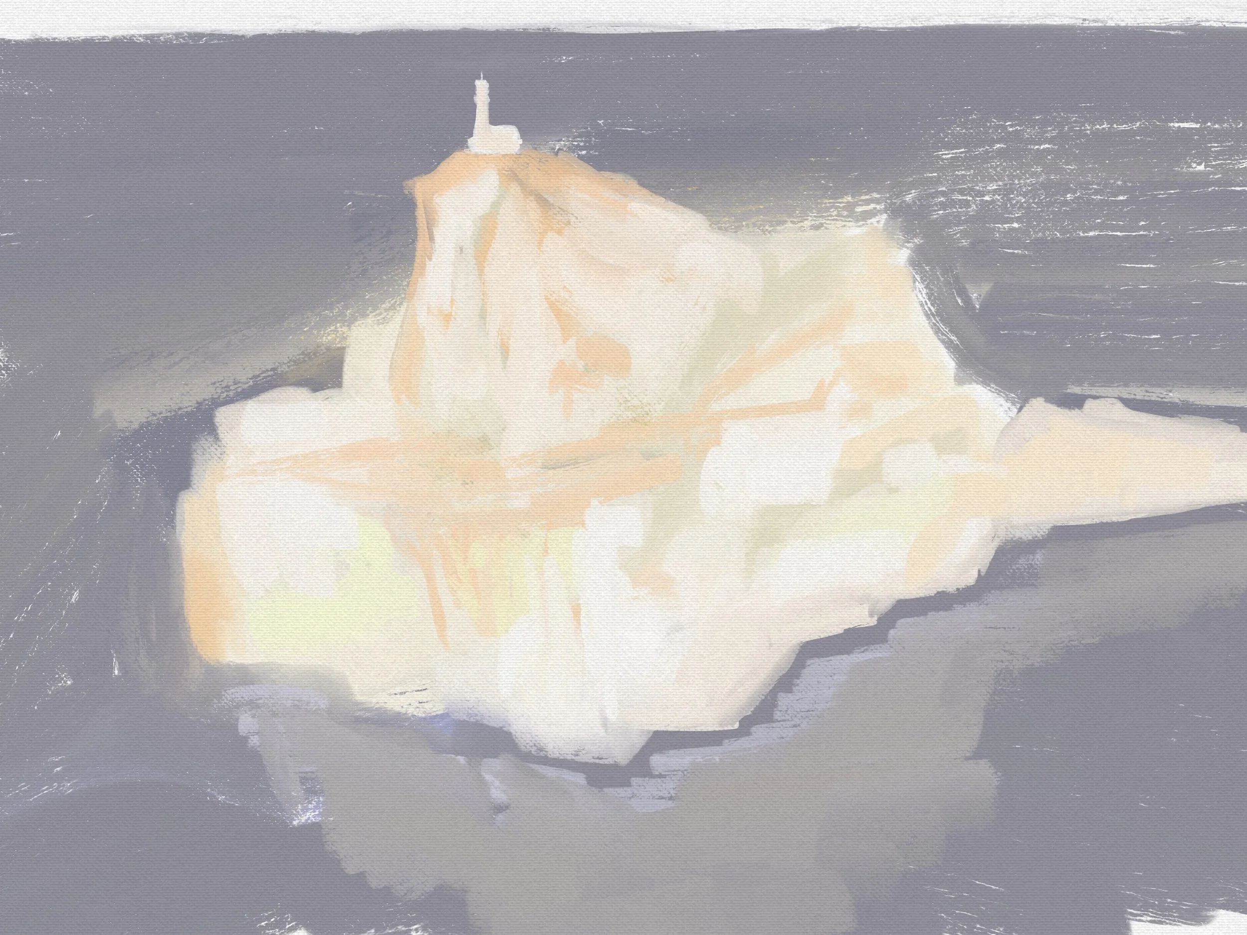 IMG_0081.PNG
