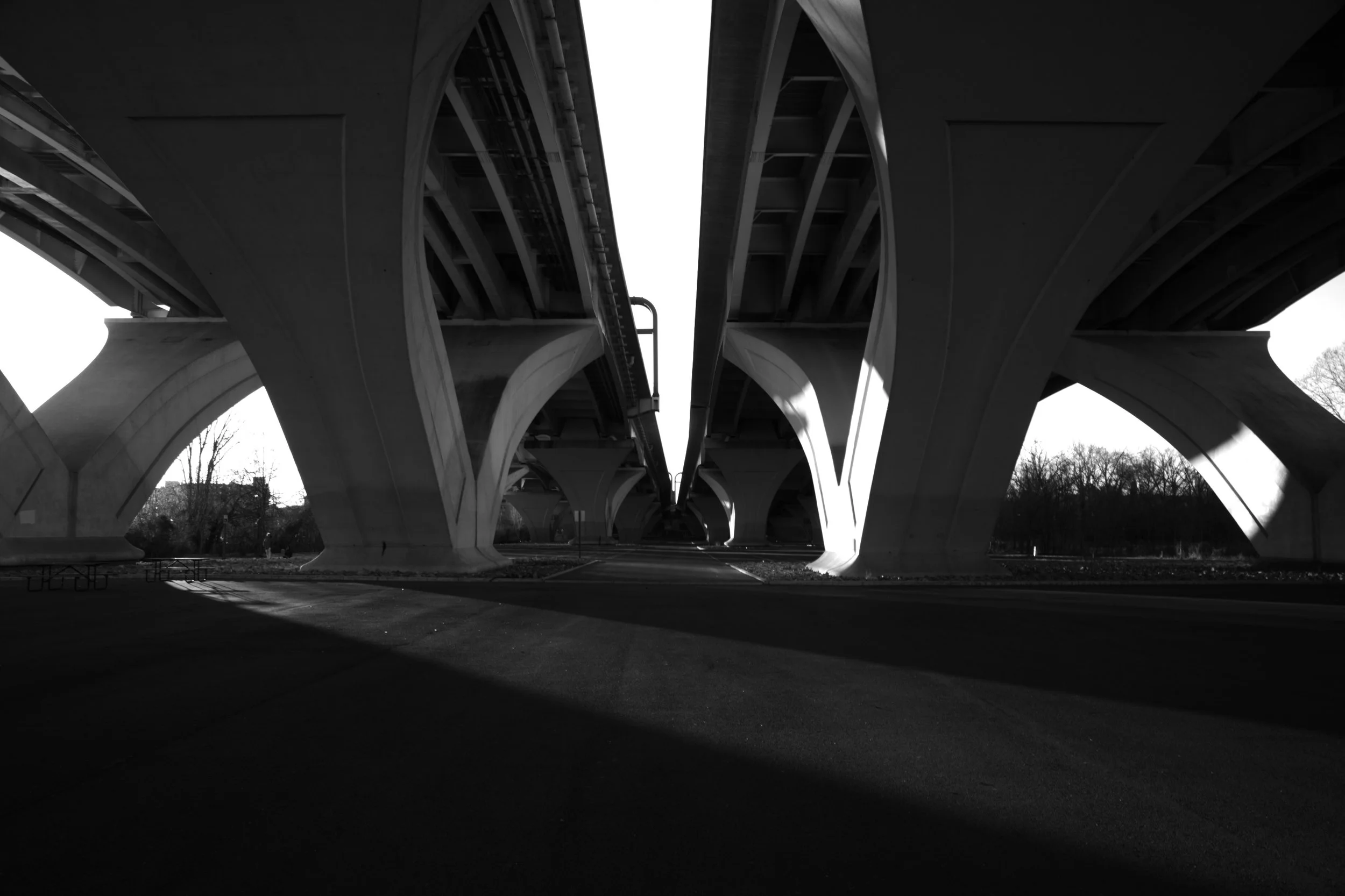 DSC_0451.jpg