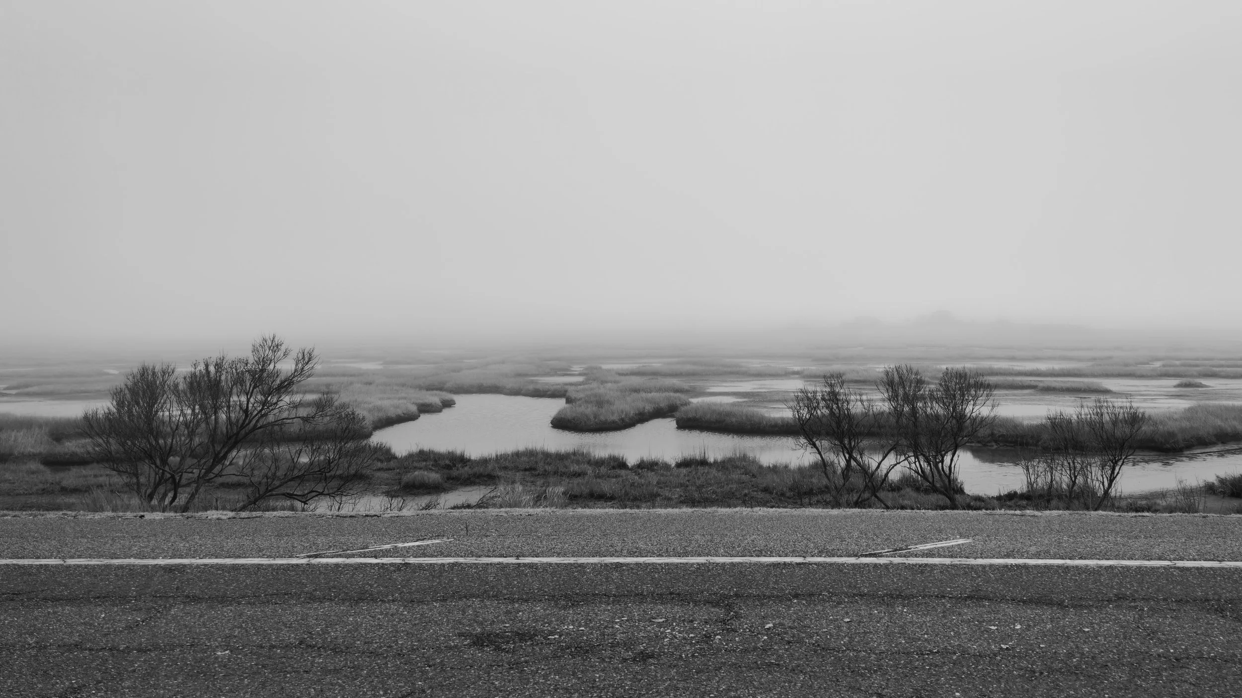 20260306_170821.jpg