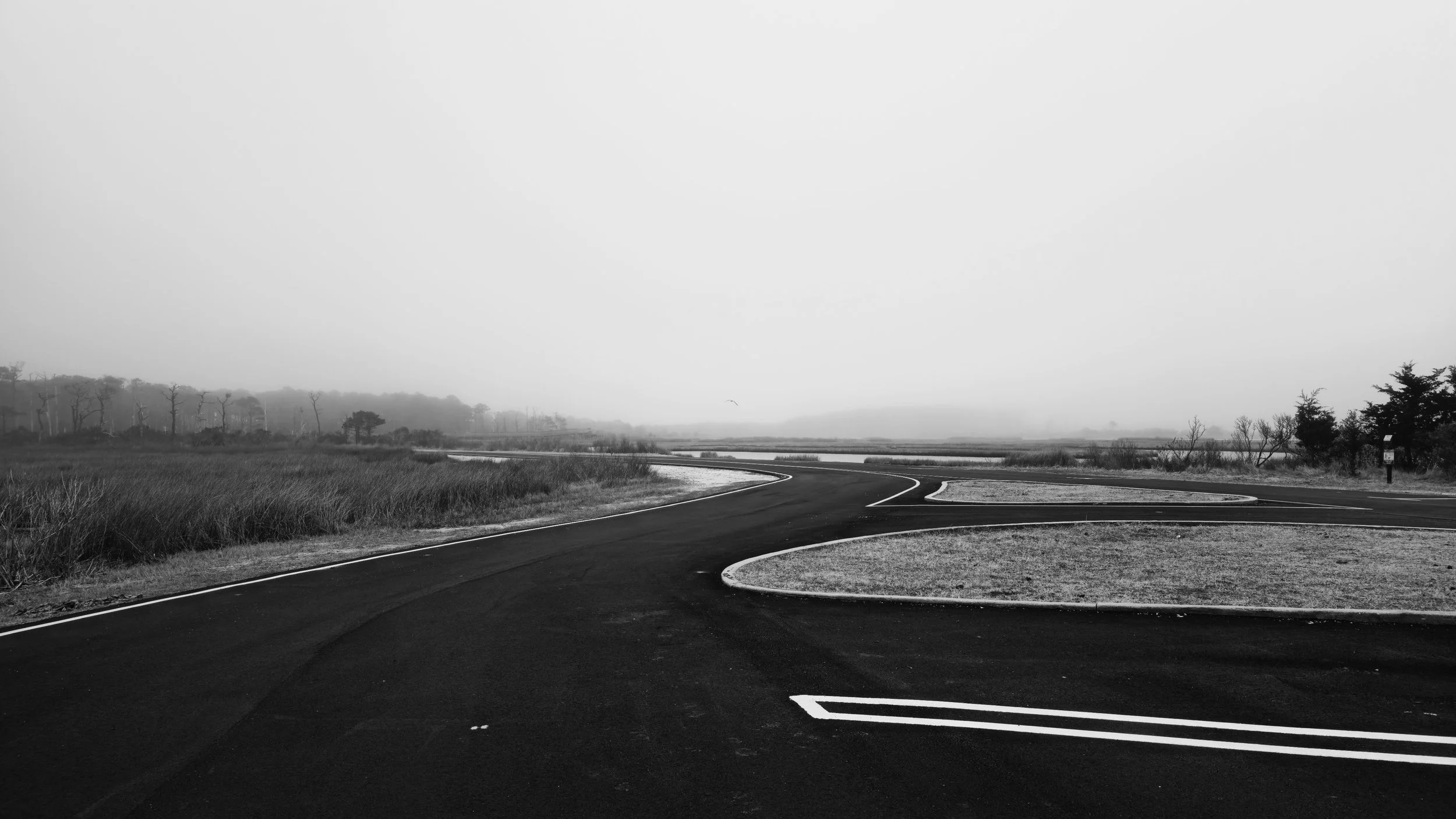 20260306_162748.jpg