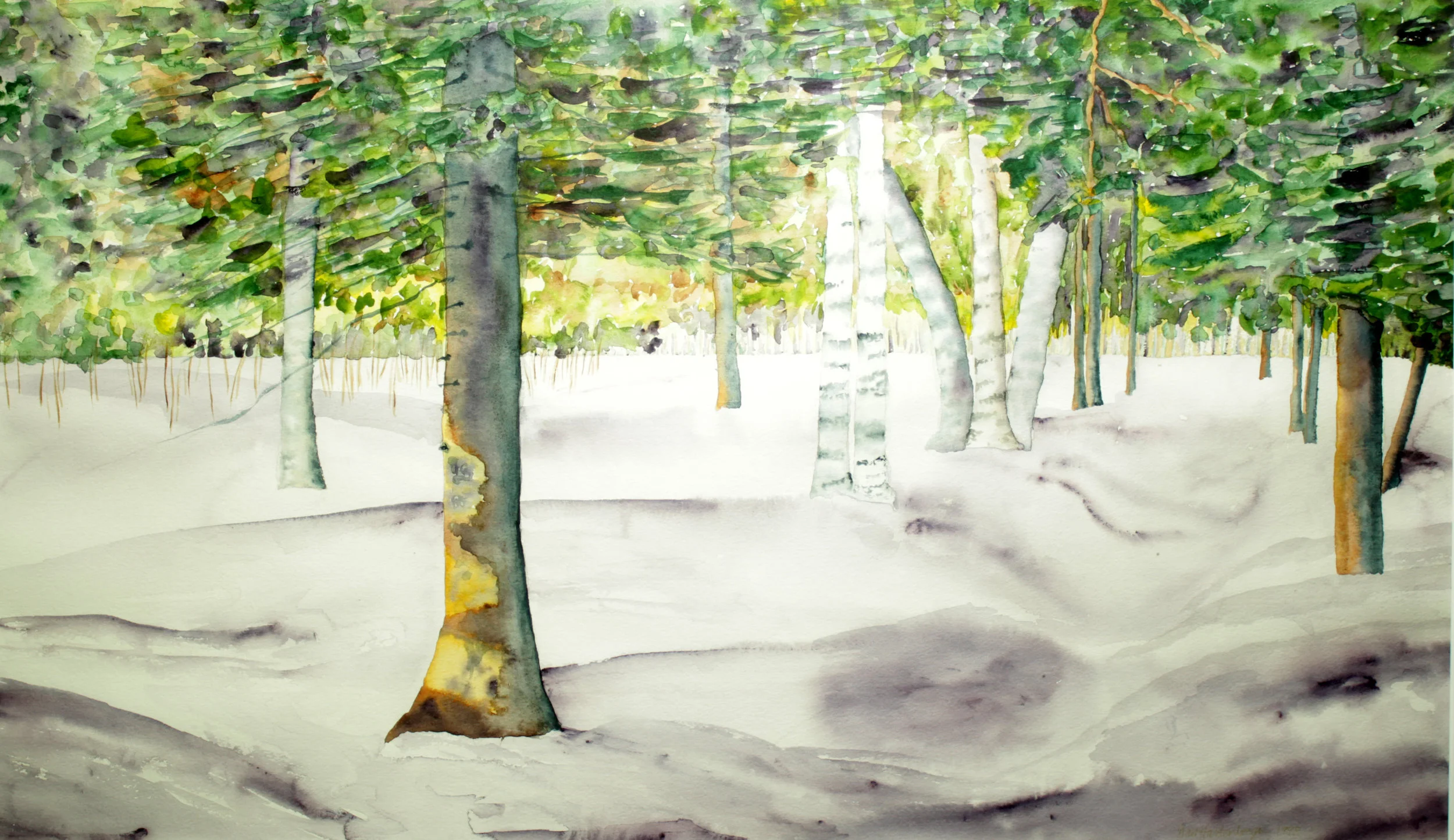 Winter Path, by Gail Hardenbergh (detail)