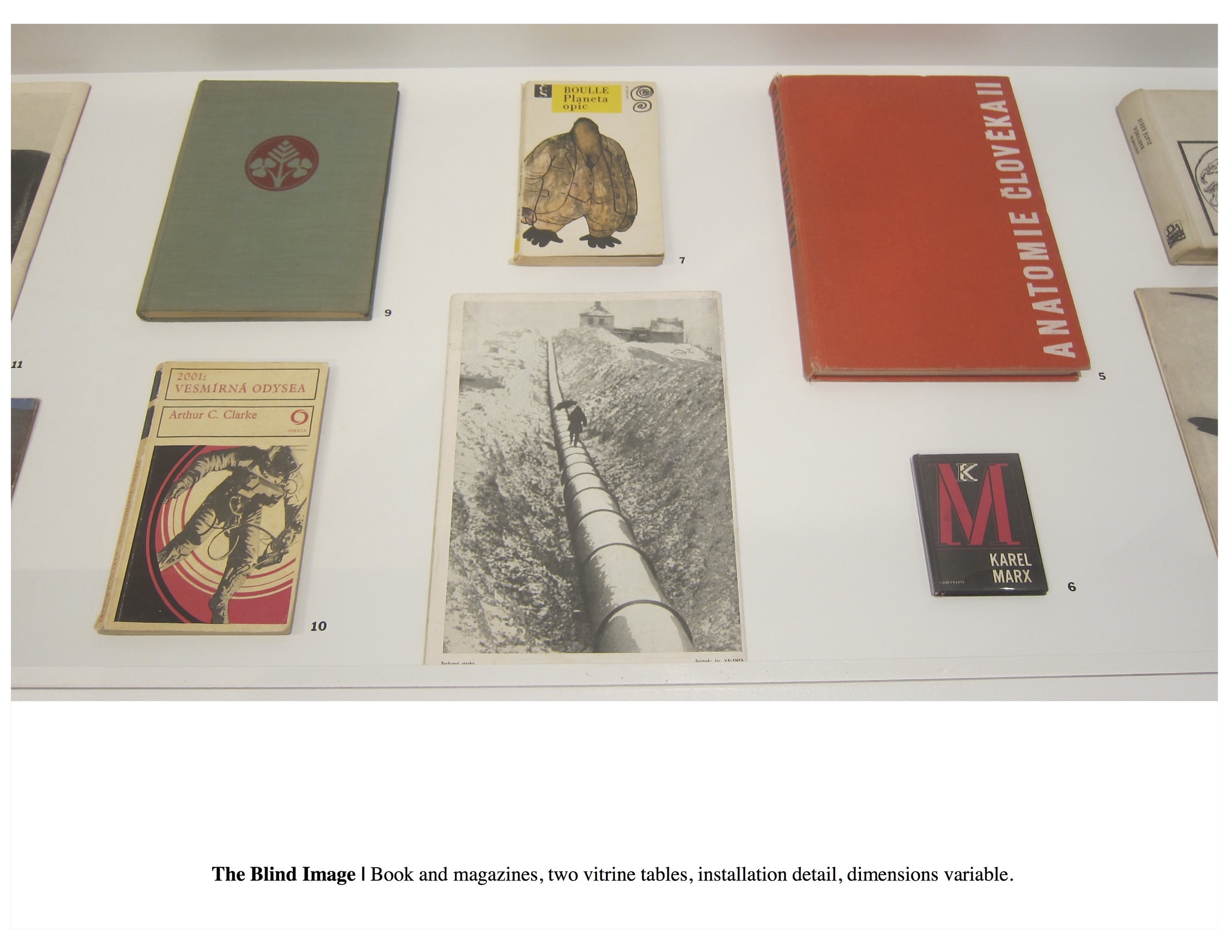 Blind Image 22.jpg
