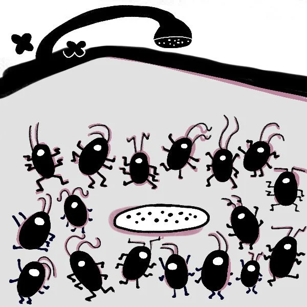 Dance party in the kitchen sink tonight! Special prize reserved for the buggy with the best boogie!