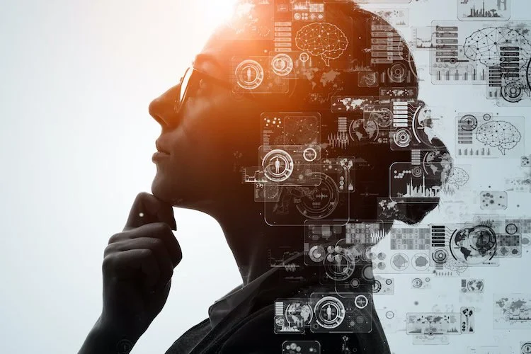 How Your Brain Builds Your Day: Movement, Meaning, and Your Body Budget