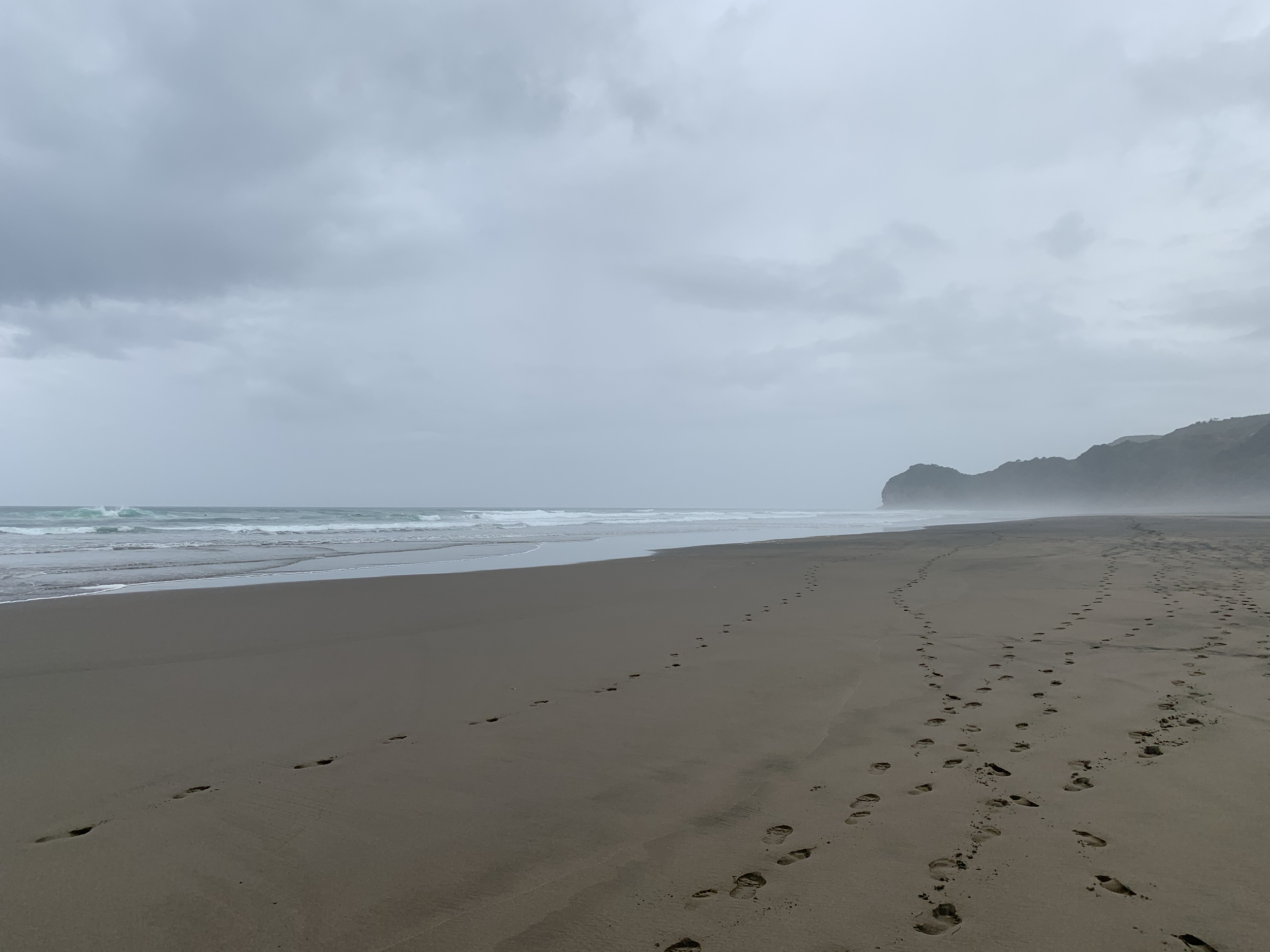 Piha Beach.png