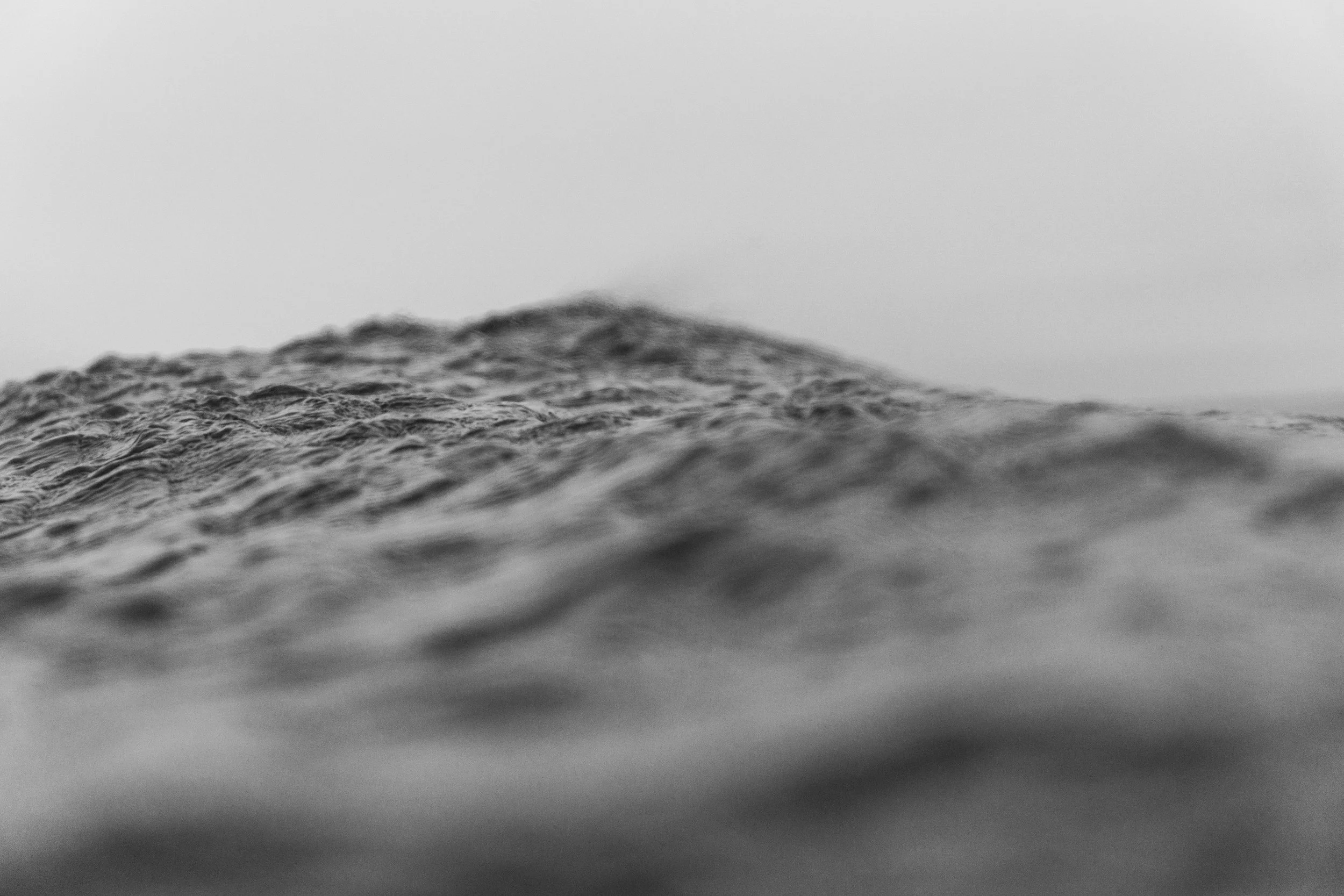 _DSC7460.jpg