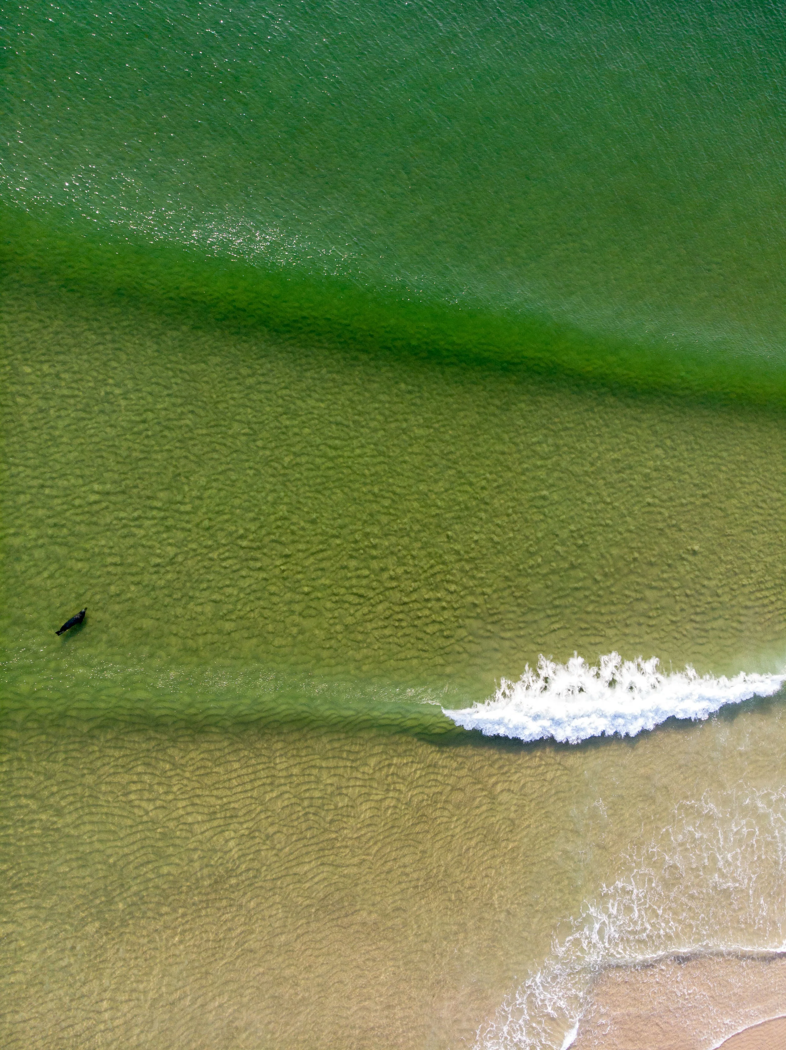 DJI_0107.jpg