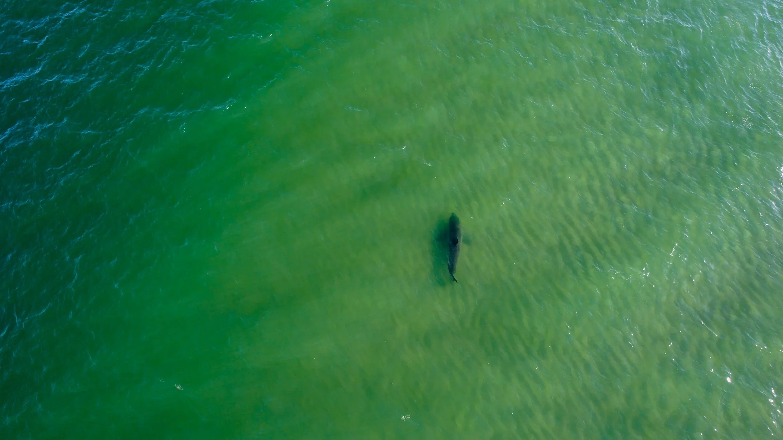 DJI_0134.00_00_07_07.Still002.jpg