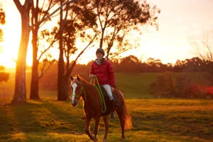 Equitana-Brumby-Challenge-4th-Aug-1911-WEB-RES-300x200.jpg