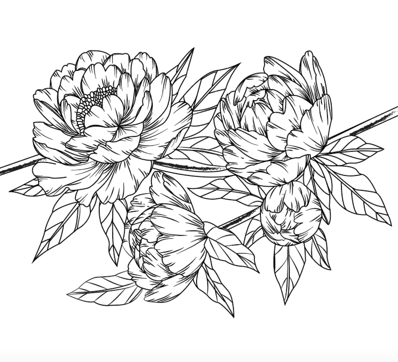 Peonies