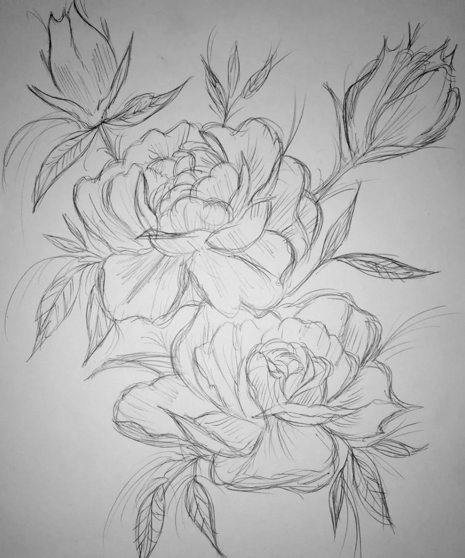 Peonies 2.0