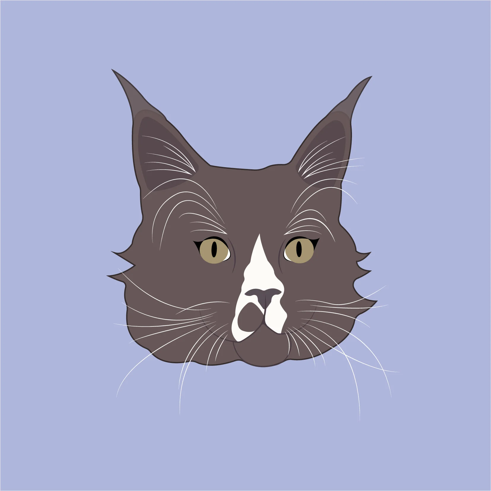 SydneyCat.jpg