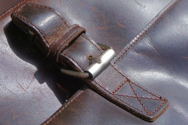 briefcase clasp.jpg