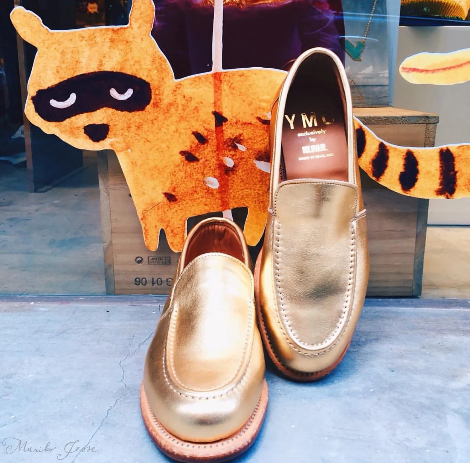 raccoon window display