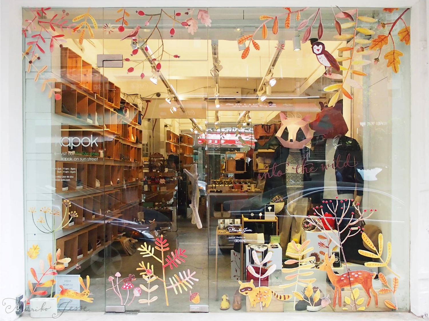 window display
