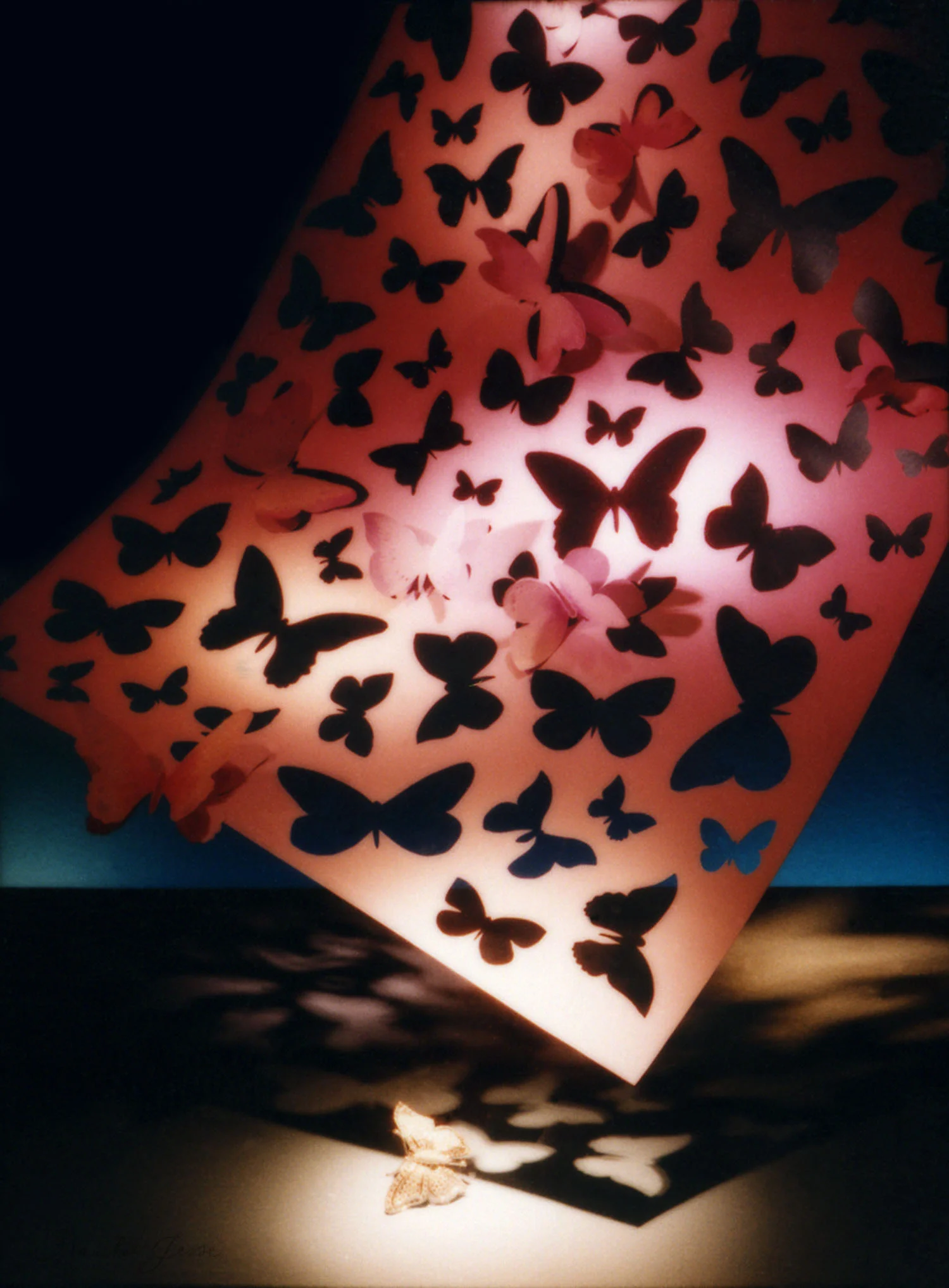 Tiffany & Co window display
