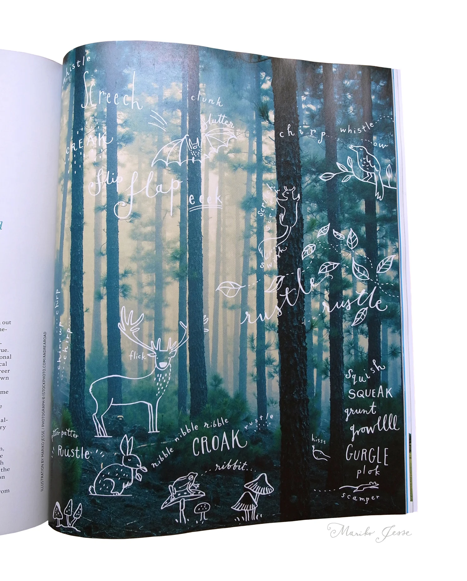 mindful magazine
