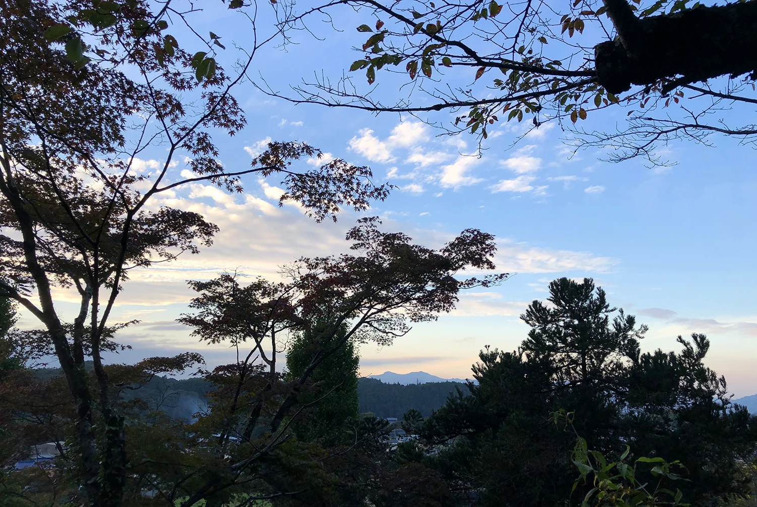view.jpg