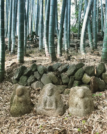 bamboo peeps.jpg
