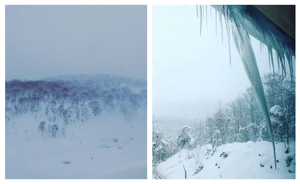 landscape.jpg