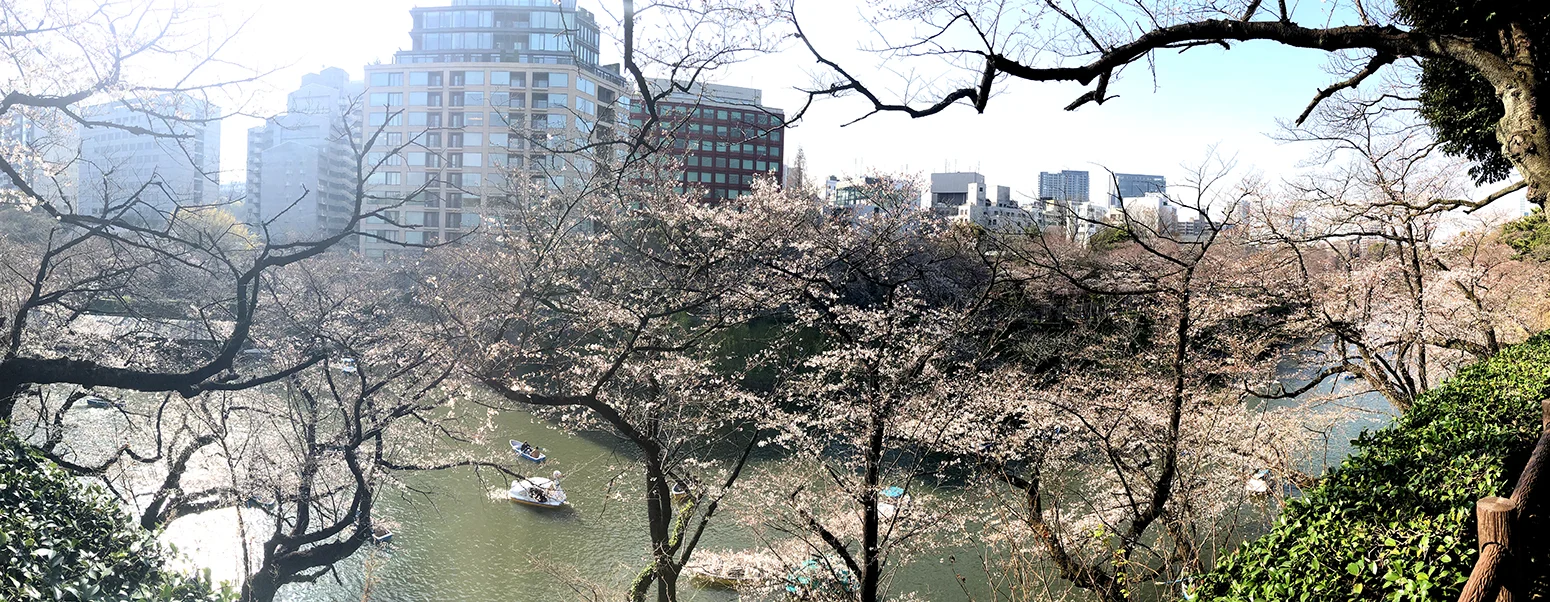 panorama.jpg