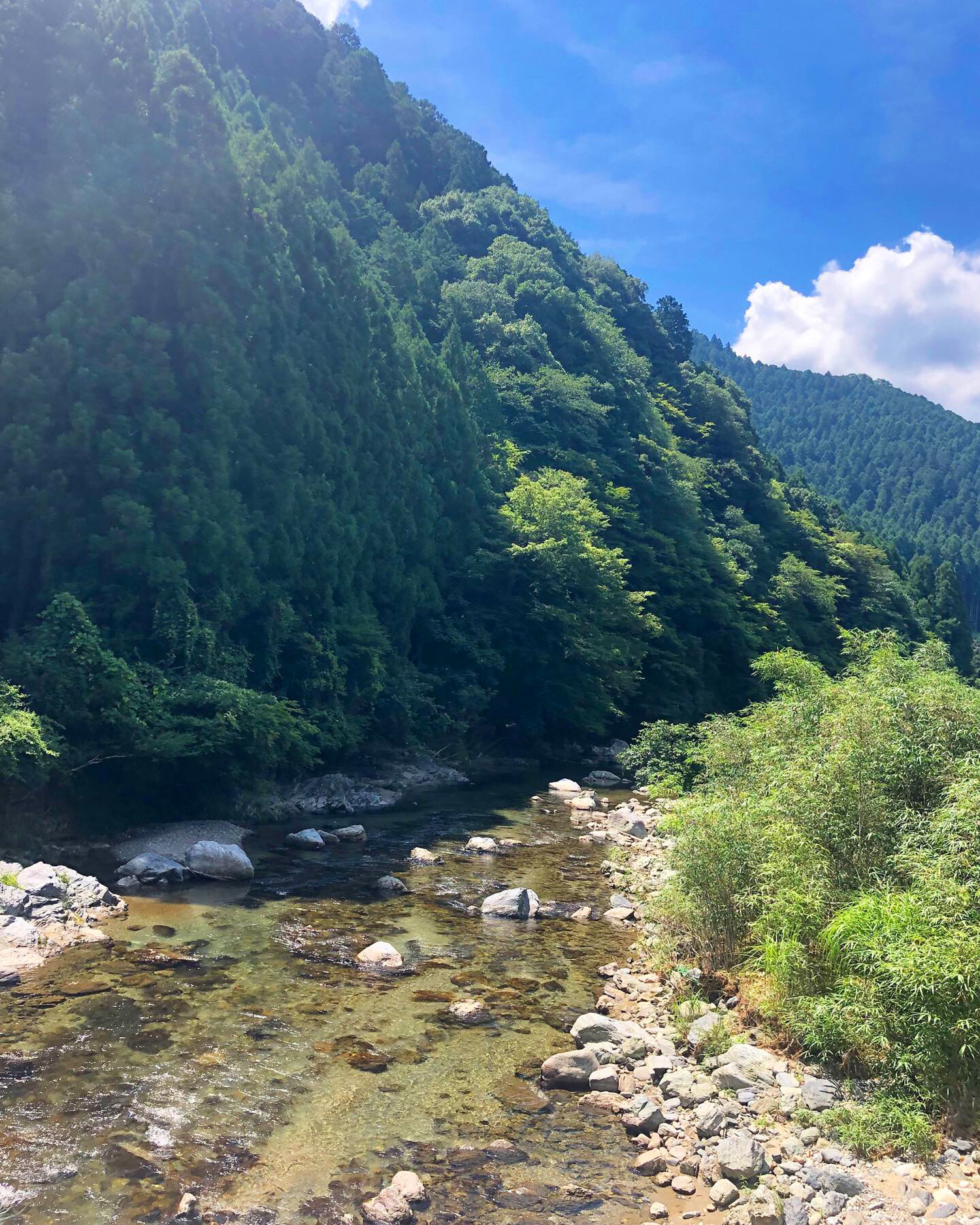 river.jpg
