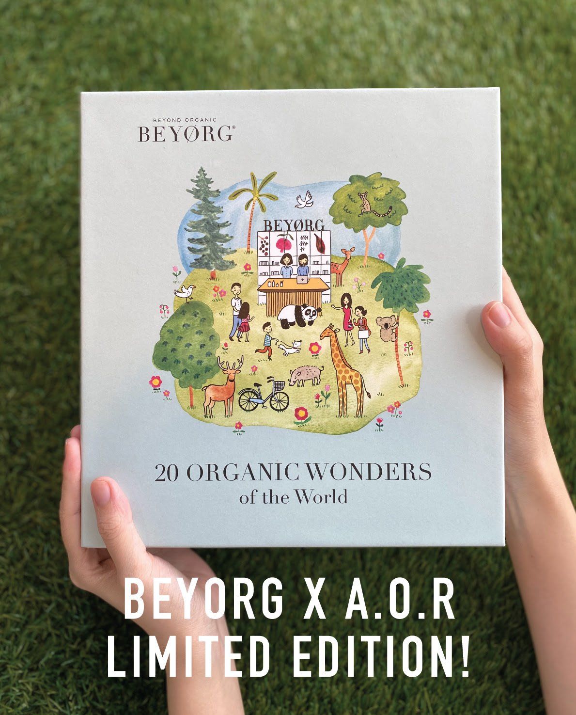 BEYORG seasonal box