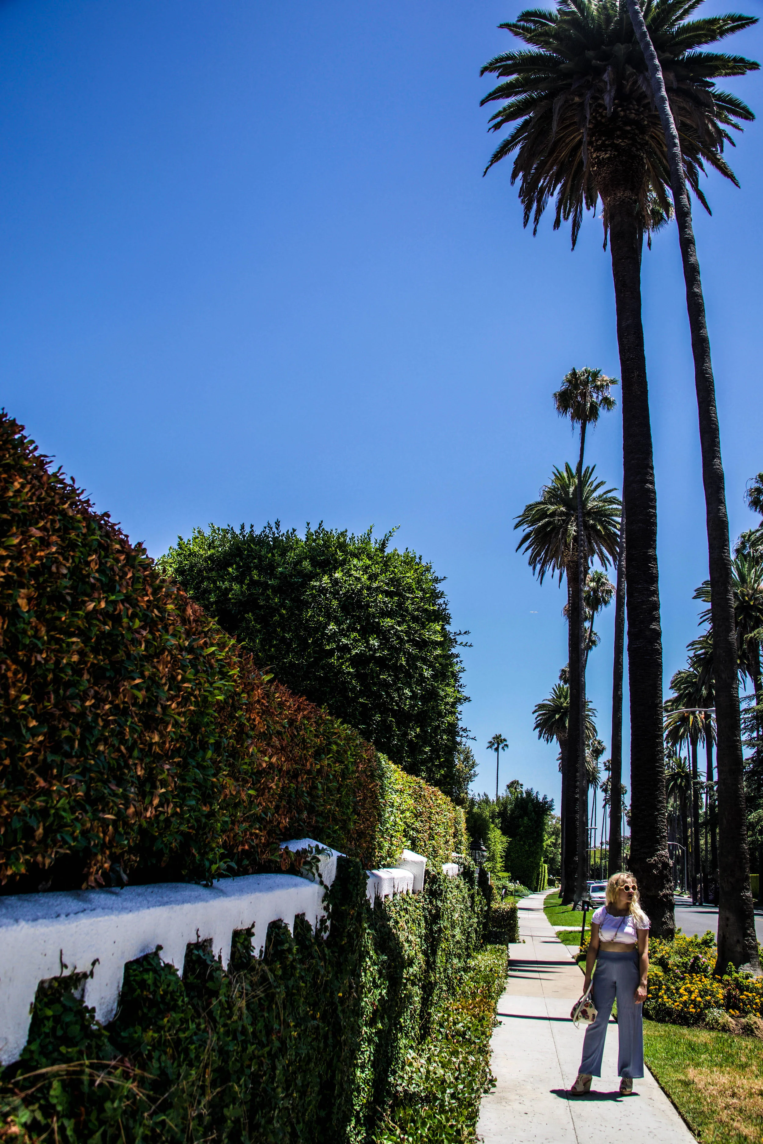 How to Get the Most Out of Your Next Trip to Los Angeles