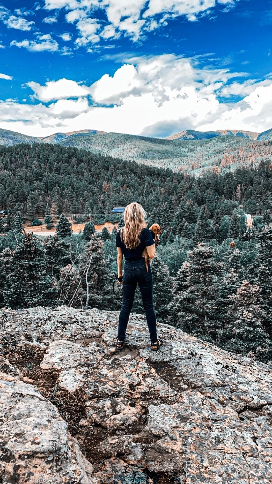 This Year Looks So Different Than It Was Supposed to...