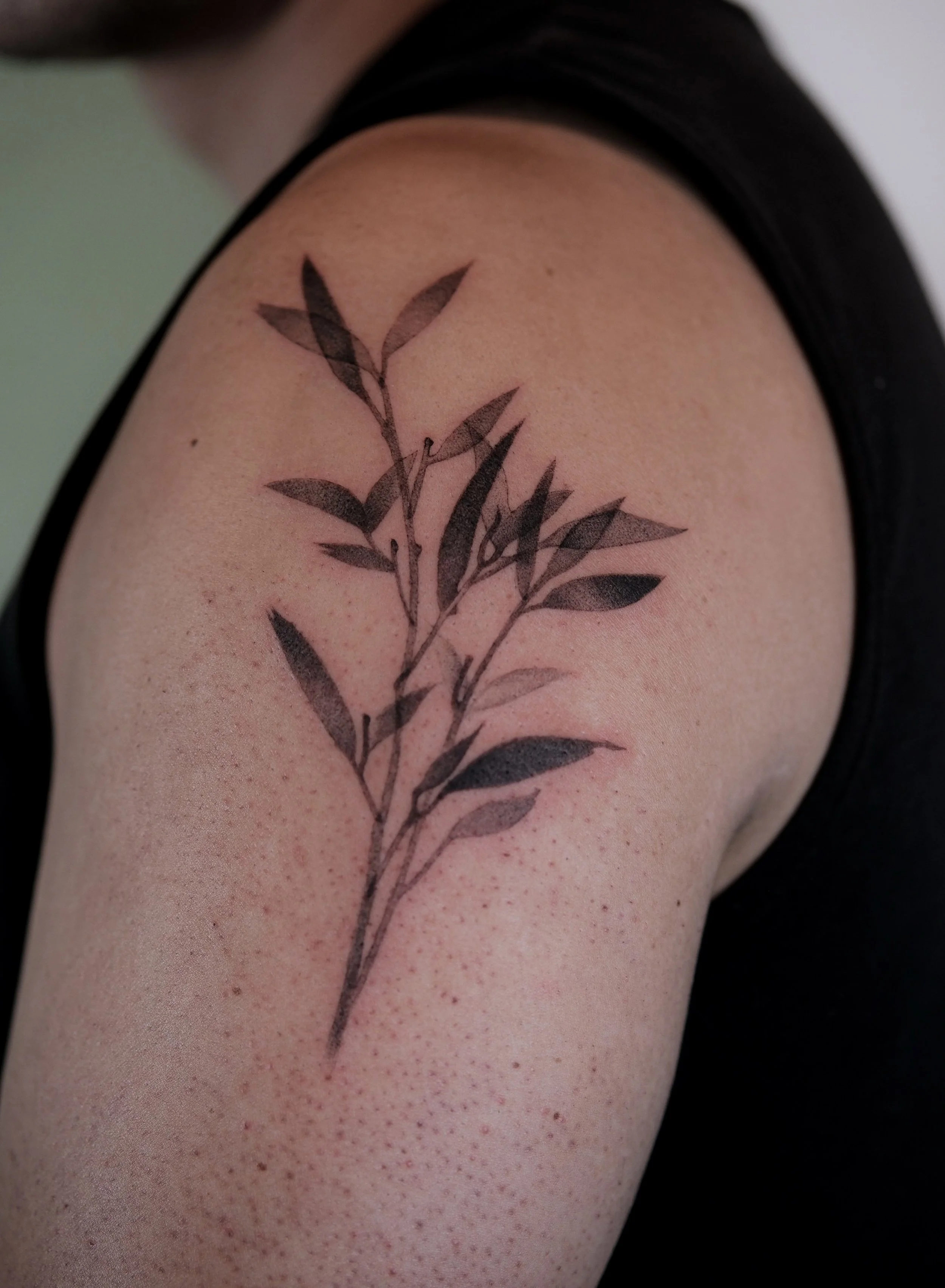 DSCF3540.jpg
