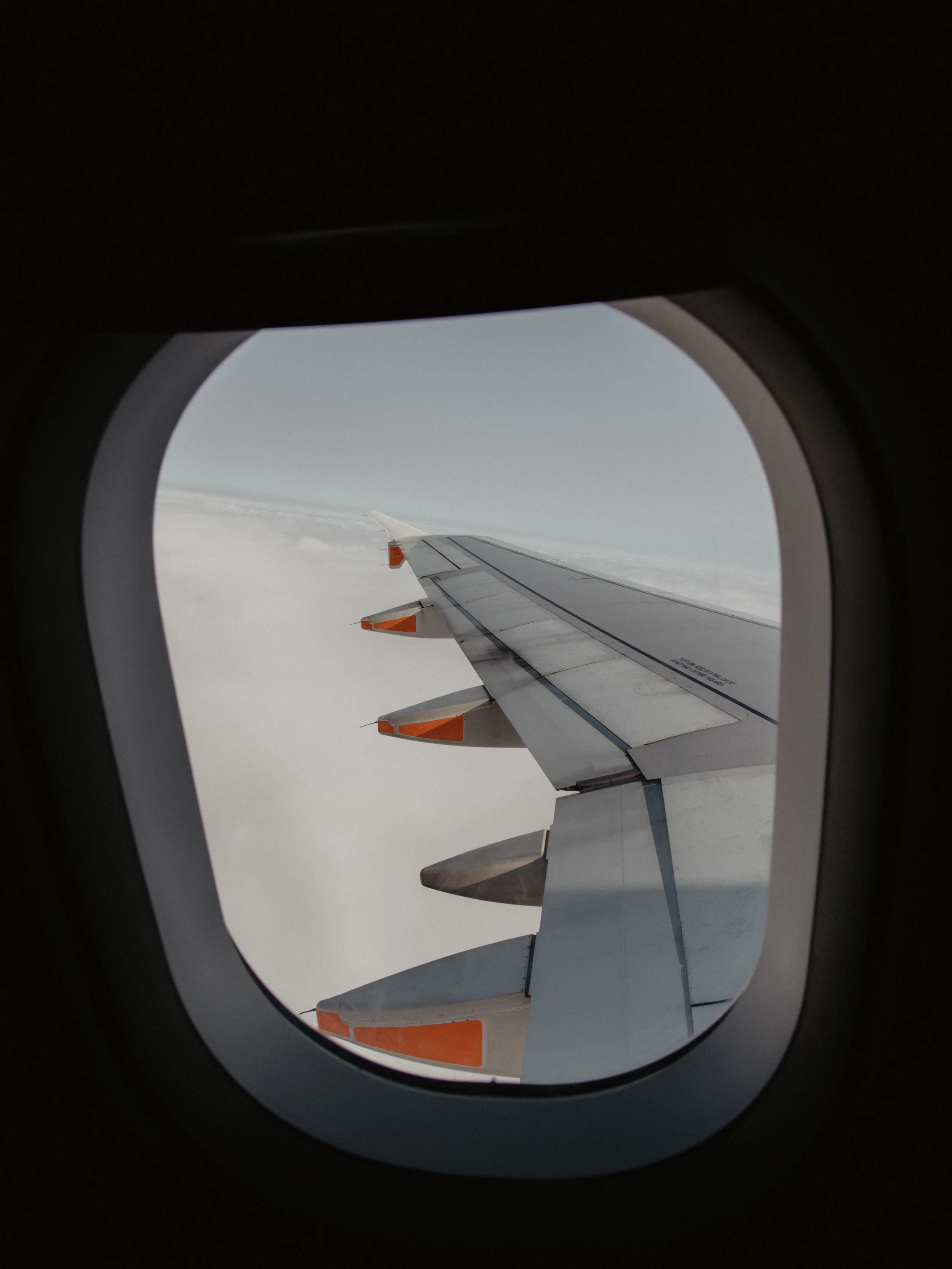 A50I2236.jpg