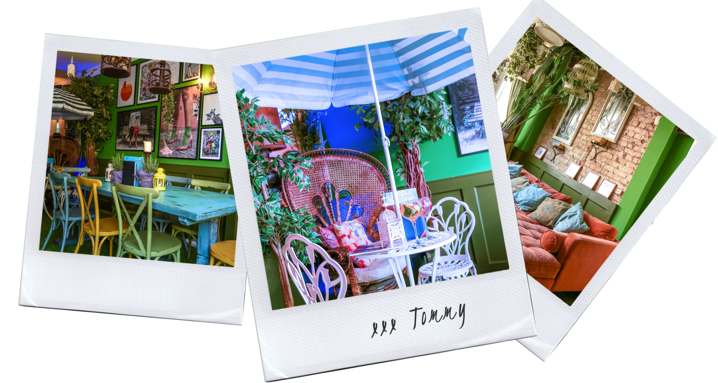 Gin Page Polaroids 2.png