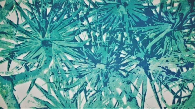 Noosa Pandanus Palms Turquoise close up.jpg