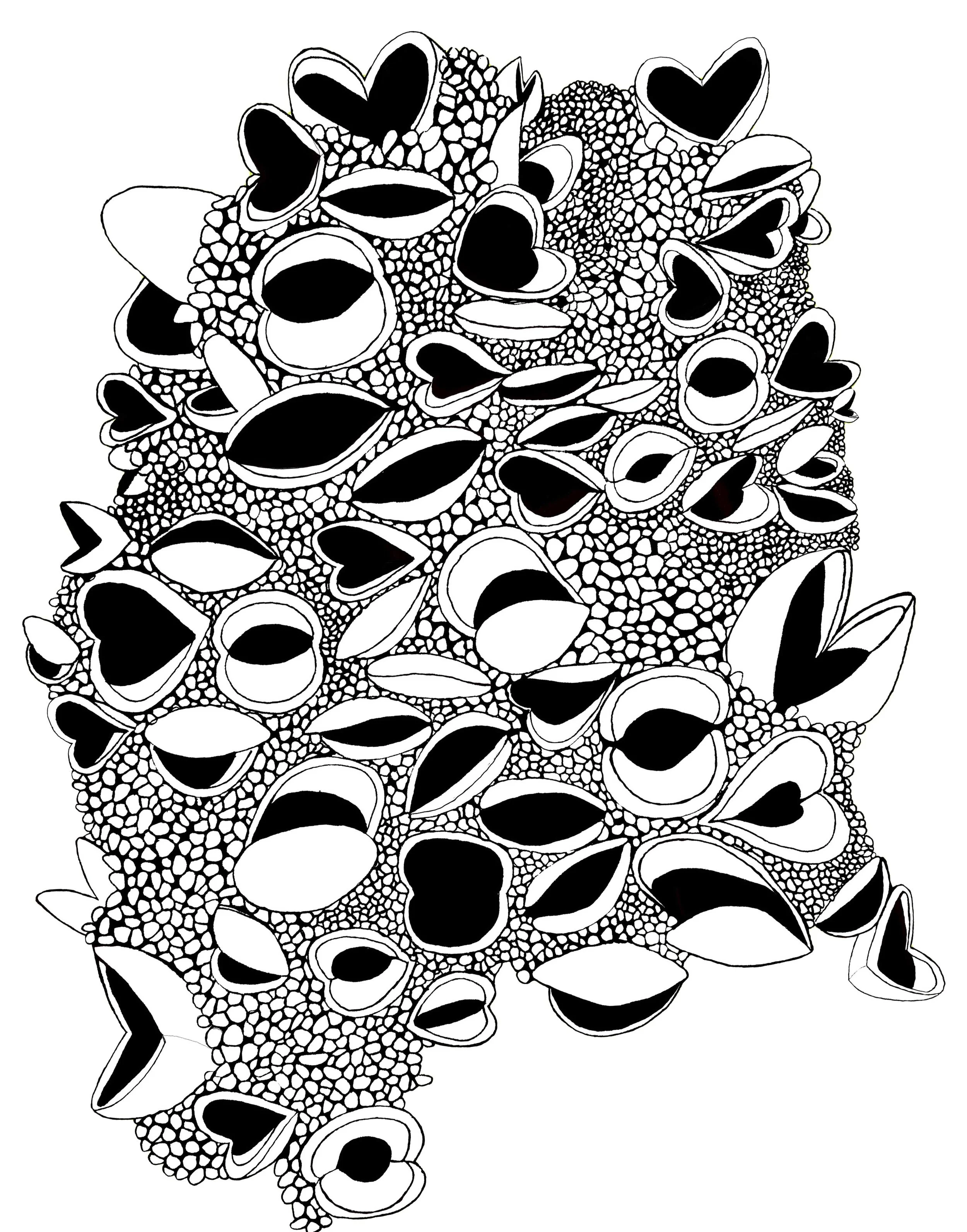  Banksia seedpod original drawing for the ‘Singing Mouths’ print 