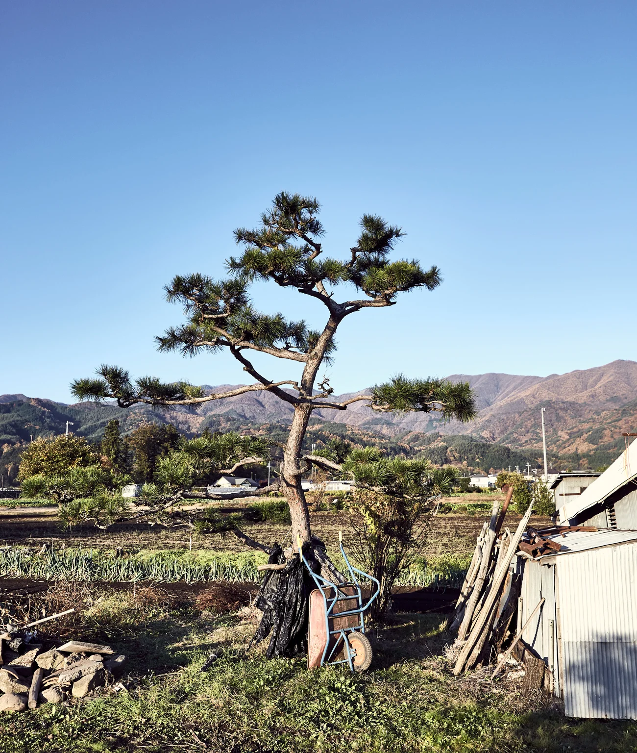 Travel Photography | Nic Gossage |