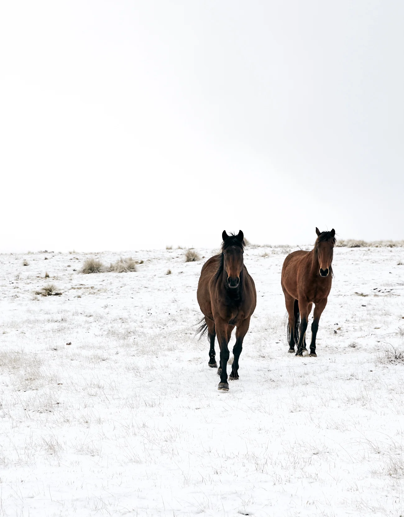Travel Photography | Nic Gossage |